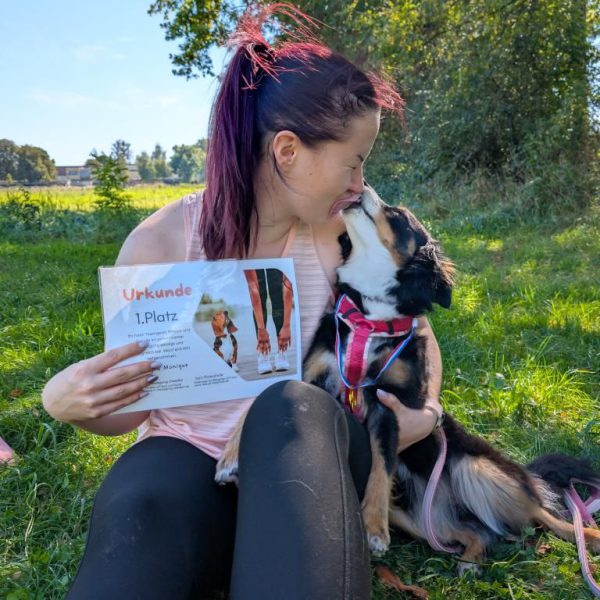 550882384_2250643378712545_7486798989478503637_n