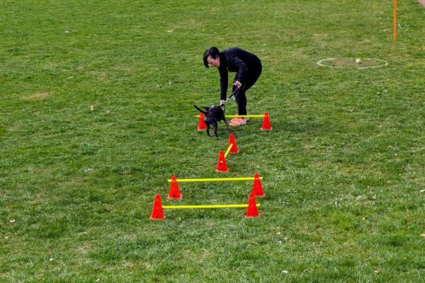 IMG_20250330_135224_491