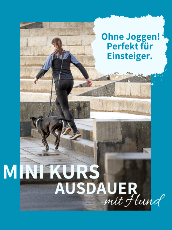MINI KURS Ausdauer